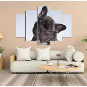 PERRO 119