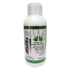 MISTIKA JARABE X 500 ML (Salud digestiv)
