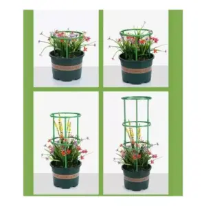 Soporte Plantas Enrredaderas