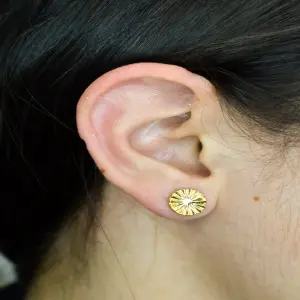 TOPO DORADO PIÑA