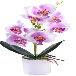 PLANTAS ARTIFICIALES A2406-242