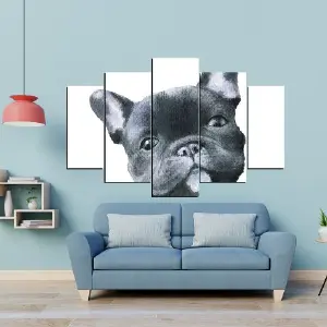 PERRO 73