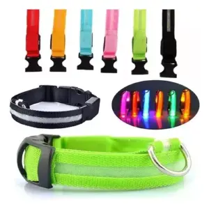 Collar Led Para  Mascotas