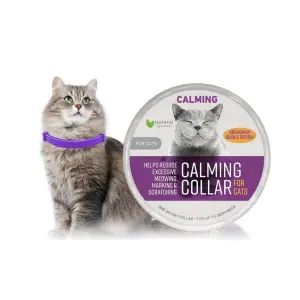 Collar Relajante Para Gatos Feromona