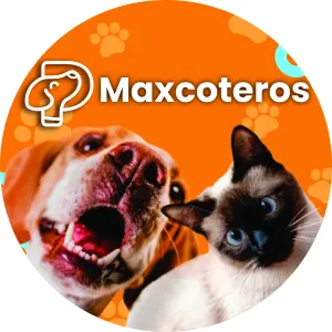 Q-COMBO PS DOG + PS CAT 3&3