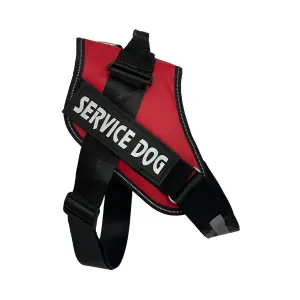 PECHERA SERVICE DOG PA14