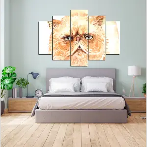 GATO 01