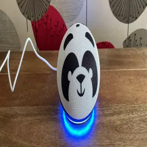 alexa kids