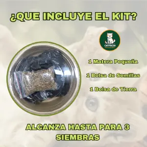 Kit Cultivo Hierba Gatuna en Casa