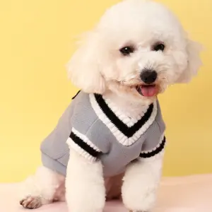Suéter Universitario Gris-Ropa Mascota