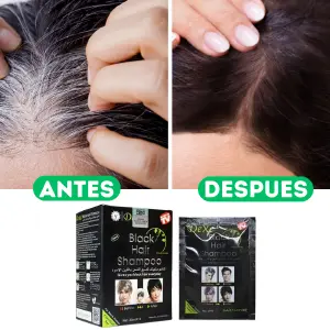 Tinte Shampoo