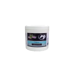 EQUINO TRATAMIENTO 500 ML