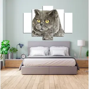GATO 04