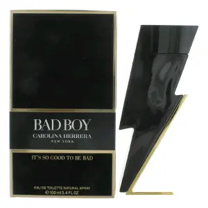 BAD BOY 1.1