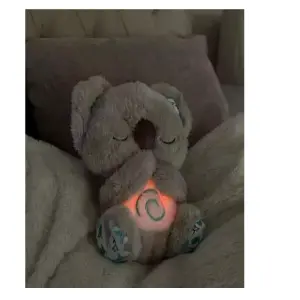 Elefante O Koala Respiración
