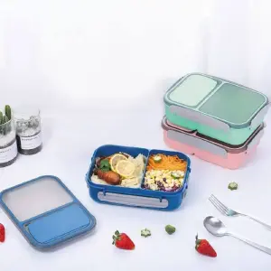 REFRACTARIA MSURE LUNCH BOX