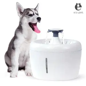 Fuente de agua Para Mascotas