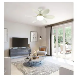 Luz De Ventilador De Techo 30W