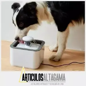 Fuente de Agua Gatos Blanca