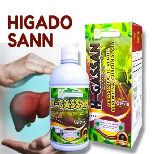 Higado Sano con Alcachofa, Berenjea, Ajo