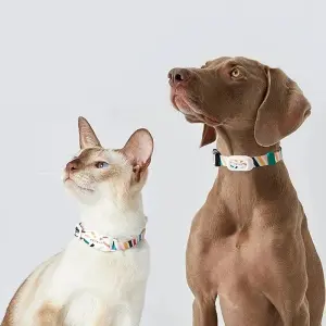 Juguete Interactivo Para Gatos