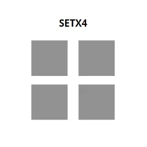 SETX4