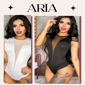ARIA: Tu Nuevo Compañero Inteligente - ARIA