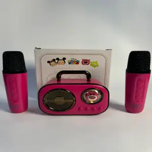 Mini Karaoke Para Niños Dos Microfonos