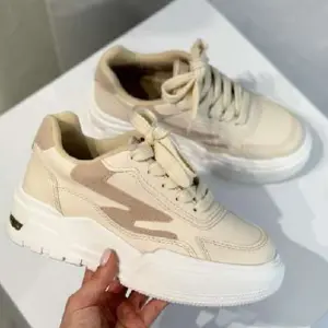 Tenis Deportivos 569