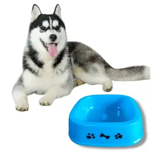 Taza Comedero  Para Perros Y Gatos