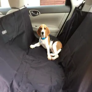 Protector Auto Para Mascota Antifluido