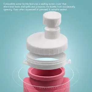 BOTELLA DE AGUA PLEGABLE