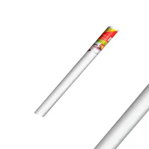 PEGAFACIL MINIROLL TRANSPARENTE