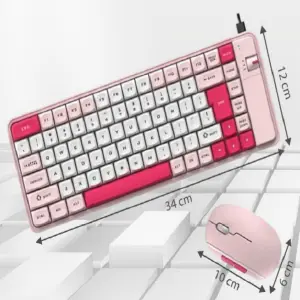 TECLADO PC + MOUSE QWO2