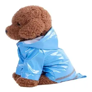 Carpa lluvia de colores mascota S M L XL