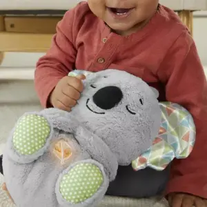 Koala Que Respira Calma