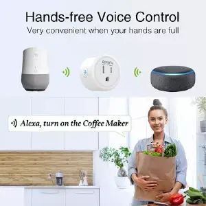 Enchufe Toma Inteligente Alexa Google Wi