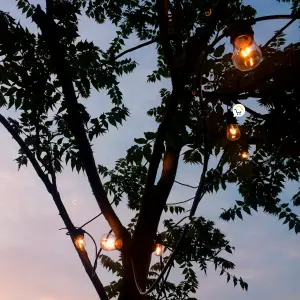 Extensión LED Bombillos X10 LBN10N