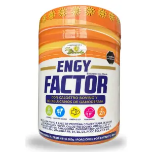 TN - ENGY FACTOR MULTIVITAMINICO