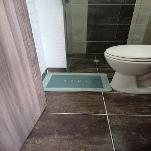 TAPETE PARA BAÑO ADSORBENTE VERDE: La Solución Perfecta para un Baño Seguro y Limpio - TAPETE PARA BAÑO ADSORBENTE VERDE