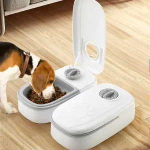 Comedor Para Mascotas con Temporizador