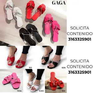 Referencia Gaga