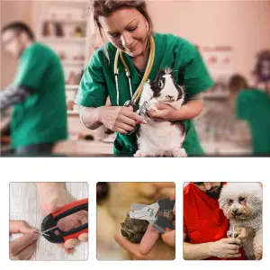 Corta Uñas Pinzas Tijeras Para Mascotas