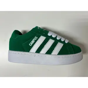 CAMPUS VERDE T40