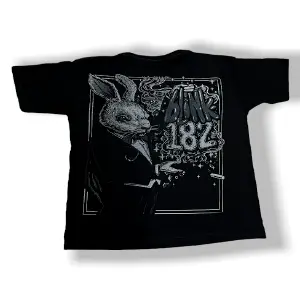 Camiseta Bandas
