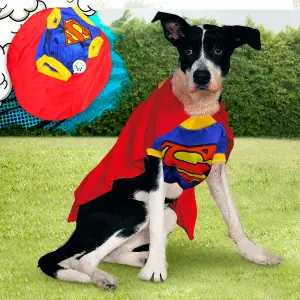 Disfraz Superhéroe Perro Gato GD01SUPERM