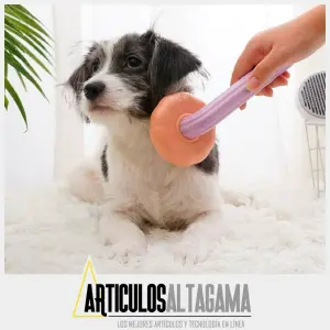 Cepillo Removedor De Pelo Autolimpiable