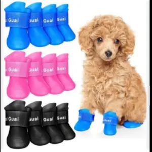 zapatos para perro  talla L
