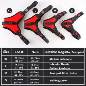 PECHERA RESISTENTE PARA PERROS GRANDES