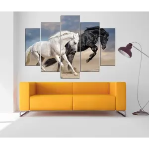CABALLOS 17